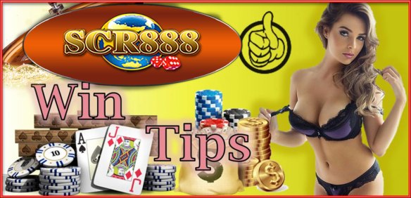 scr888 tips